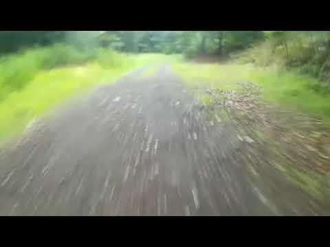 MTB Wittekindsburg Richtung Dützen