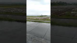 Download lagu hujan di sore hari ( bui jadi permadani ) mp3 Download lagu hujan di sore hari ( bui jadi permadani ) mp3