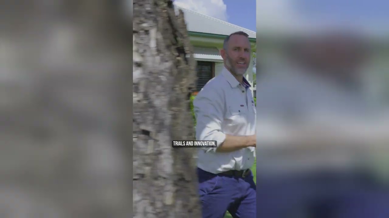 The Lawn IQ: Transform Your Lawn With Smarter Lawn Care