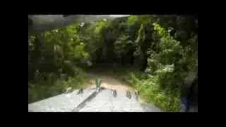 preview picture of video 'Video using GoPro Hero 3 Black Edition: Mt Daguldol Climb'