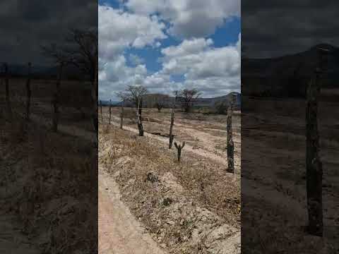 SECA NO SERTÃO DE PERNAMBUCO | OUTUBRO 2026 #nordeste #bomconselho #pernambuco