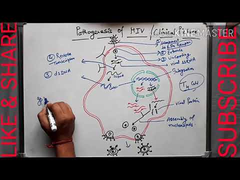 Megabacteriosis a madarakban