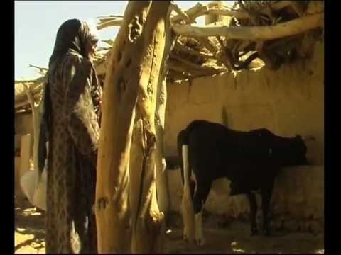 Iranian Rural Women, Zabol - زنانی از روستا. زابل