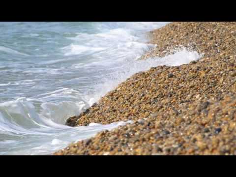 Thumbnail for Billy Spence video