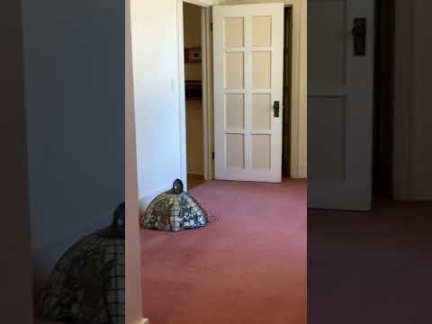 SpruceLynn - Video 2 of 2