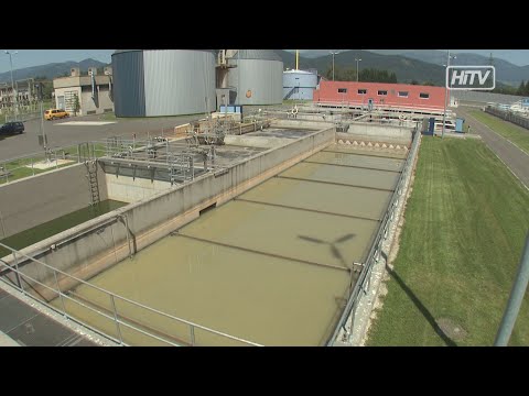 Wertvollster Abfall!