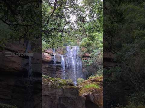 El privilegio de vivir a dos pasos 🌿💯 Los Helechos #misiones #airelibre #salto #naturelovers