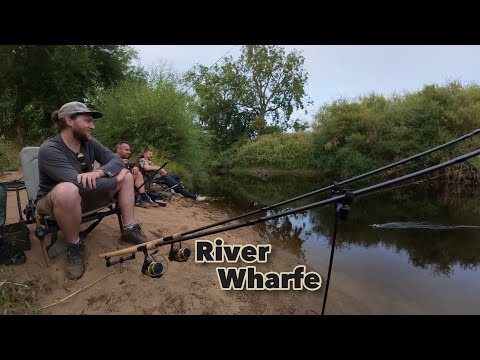 The Bites Never Stopped. River Wharfe