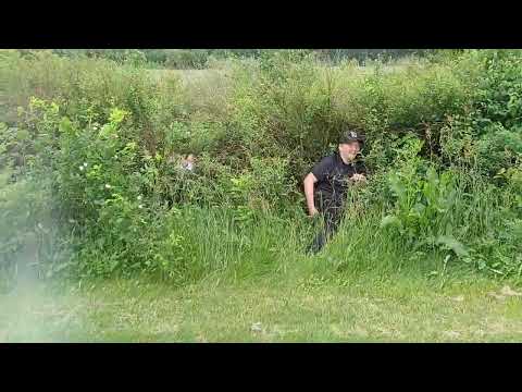 Tobias og Malick dumbass stunts 1