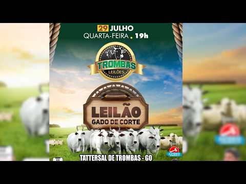 LEILÃO  GADO DE CORTE TROMBAS LEILÕES - TROMBAS GOIAS  - 29 / 07 / 2026
