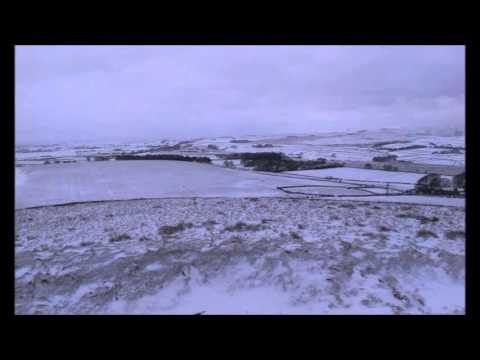 kara oates   camptown races