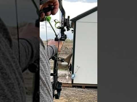 This Problem Rooster Is No Longer A Problem 😤 #shorts #badrooster #rooster #farmlife