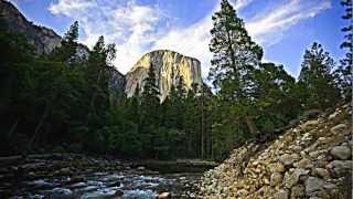 The Call of The Wild.(HD Slide)