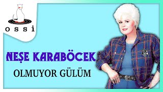 Neşe Karaböcek / Olmuyor Gülüm