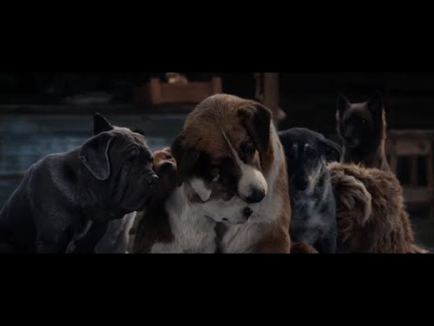 Alan Walker - The True Leader (Part. 04)