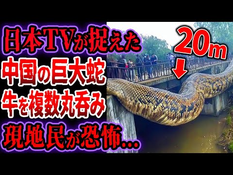 テレビ: 新しい研究で驚くべき結果が判明