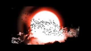 The Temper Trap - Science of Fear