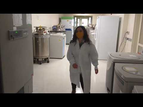 HST Virtual Tour: Jacks lab (Koch Institute)
