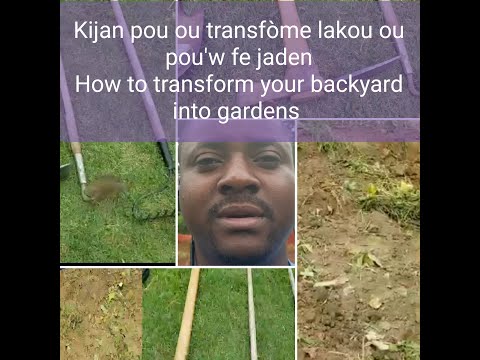 How to transform your backyard into gardens -- Kijan pou'w transfòme lakou ou pou'w fe jaden