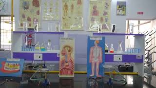 Paradise International School Video