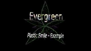Evergreen - Plastic Smile / Example Cover