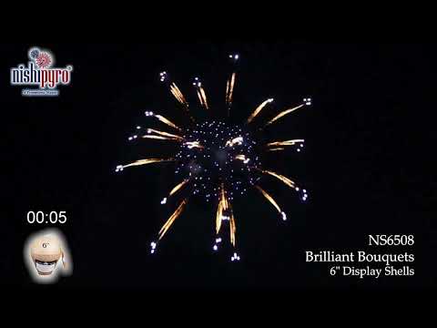 NS6508 - 6" Brilliant Bouquets