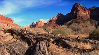 [AS BUMP] Rustie - After Light