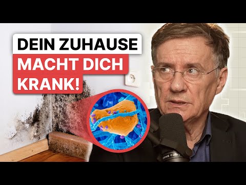 Schimmelpilz in der Wohnung - VERSTECKTES RISIKO und was Du tun solltest!