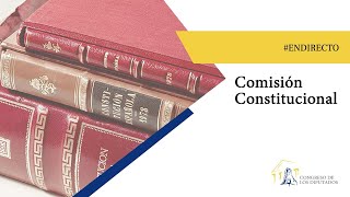 Comisi贸n Constitucional (04/07/2022)