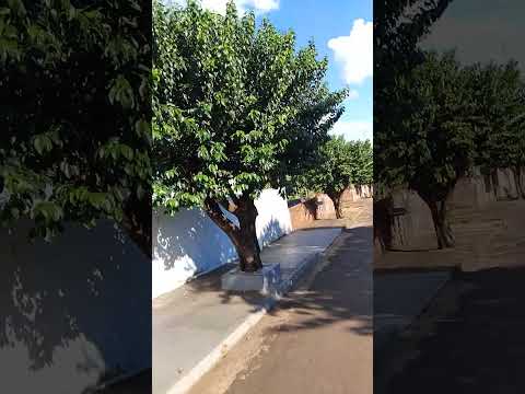 ZÍNHO PORECATU PARANÁ 