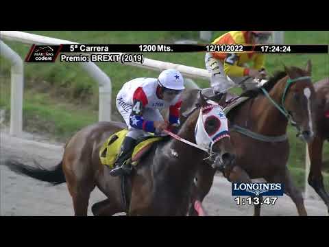 221112 c05 ELECTRO FEVER