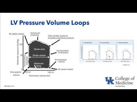 Valvular Heart Disease - Dr. Schell