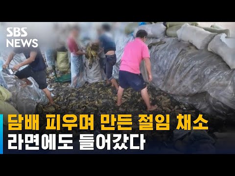 아이콘