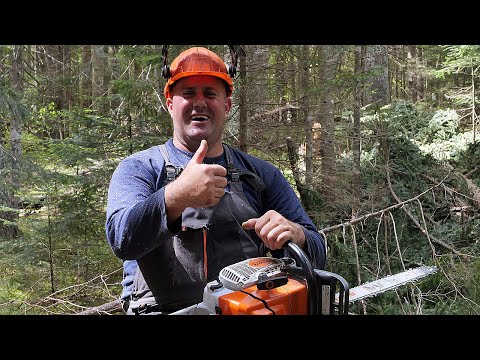 Zarađuje više na Kupresu nego u Njemačkoj