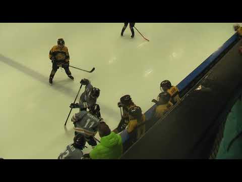 Eishockey U11 EHC LIONS vs Danube Islanders 2018-11-25
