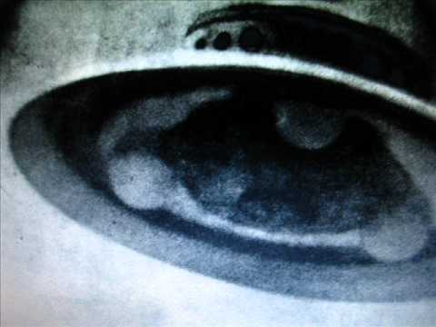 joti vs paul taylor and 40 percent  schwarmageddon