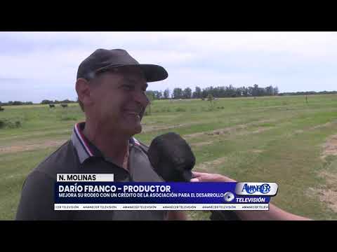 DARÍO FRANCO - PRODUCTOR DE NICANOR MOLINAS