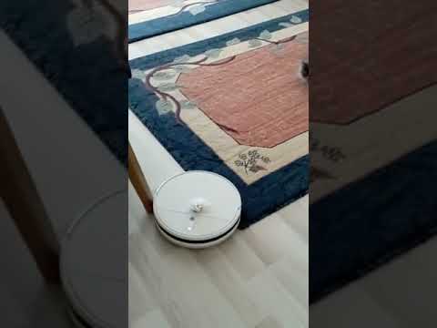 Macera devam ediyor. Ares ve Sebastıan. Tango ve Cash gibiler Maşallah onlara. 🐾🐈🏠🔘