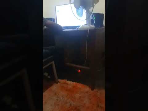 Debwe All Stars Freestyle_Watakubali Cover(Mr. Blue)