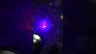 Download lagu MENCARI BATU DENGAN #ULTRAVIOLET mp3