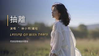 Download lagu 超好聽中文歌曲｜林小玥|鐵柱《抽離》別讓錯過成終身的遺憾｜Draw Away Lin Xiaoyue｜深夜DJ電音虐心情懷 #抽離 #林小玥|鐵柱 mp3