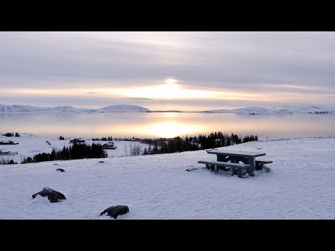 Voyages Vert Vous - Islande : étendues glacées et géothermie dans l'agriculture