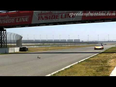 Lamborghini vs Esquilo (Lamborghini  vs Squirrel)