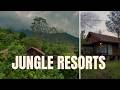 Best Jungle Resorts In South India Luxury To Budget Ranked
