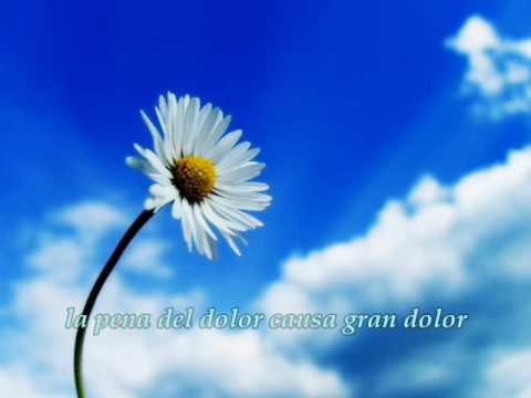 MI TRISTEZA - IJSUD
