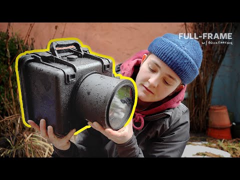 How to photograph wildlife you can't see