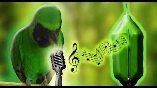 Download lagu Guru Vokal Cucak Ijo Gacor Variasi | Isian Mewah Durasi Panjang mp3 Download lagu Guru Vokal Cucak Ijo Gacor Variasi | Isian Mewah Durasi Panjang mp3