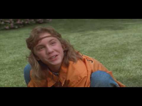 Jungle to Jungle - Perception in different ways