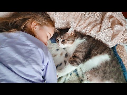 MILU grew up with PITU the cat and now they are inseparable