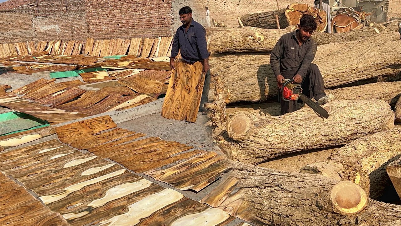 Inside Factory Top 5 Most Amazing Process Of Recycling And Manufacturing Videos